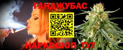 стаф Можга