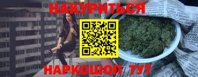 стаф Можга