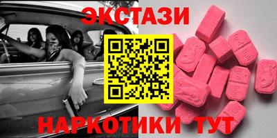 стаф Можга
