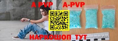 стаф Можга