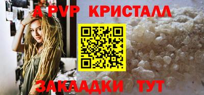 стаф Можга