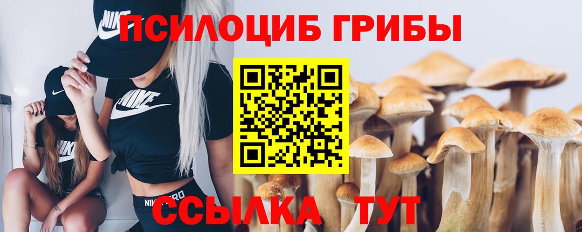 Галлюциногенные грибы MAGIC MUSHROOMS  Вход с VPN  Галлюциногенные грибы MAGIC MUSHROOMS  Ростов Великий 